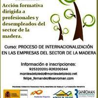 CURSO A DISTANCIA : PROCESO DE INTERNACIONALIZACIÓN EN LAS EMPRESAS DEL SECTOR DE LA MADERA