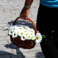 XLIV FIESTA DE LA PRIMAVERA. ROMERÍA Y OFRENDA FLORAL