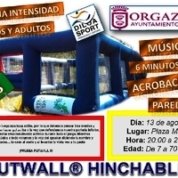 FUTWALL  HINCHABLE 