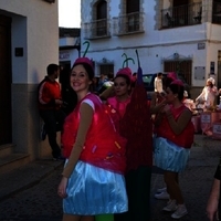 CARNAVAL GENERAL 2014 (II)