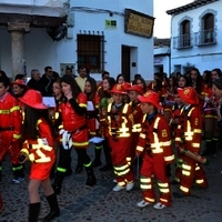 CARNAVAL GENERAL 2014 (II)