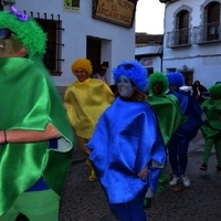 CARNAVAL GENERAL 2014 (II)