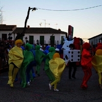 CARNAVAL GENERAL 2014 (III)