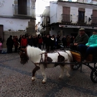 SAN ANTÓN 2016