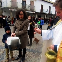 SAN ANTÓN 2016