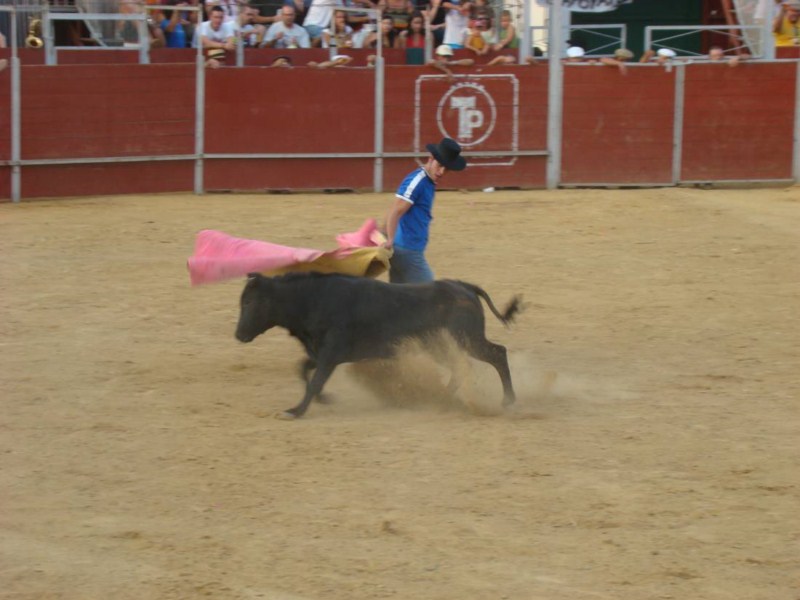 FERIA 2008. BECERRADA LOCAL