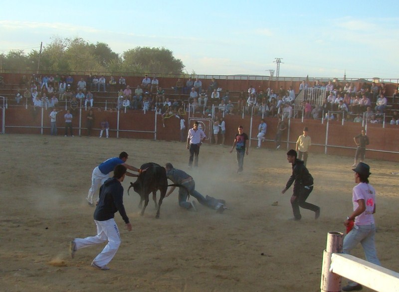 ENCIERROS 2009