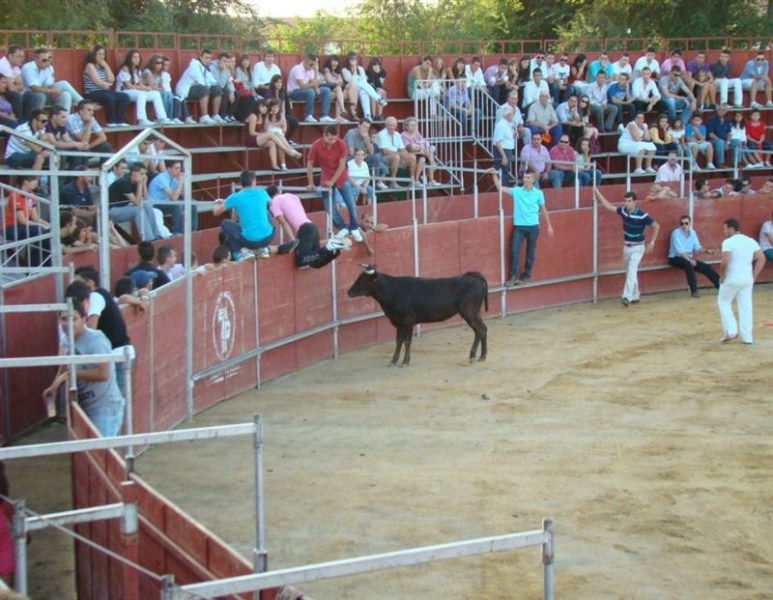 ENCIERROS FERIA 2010