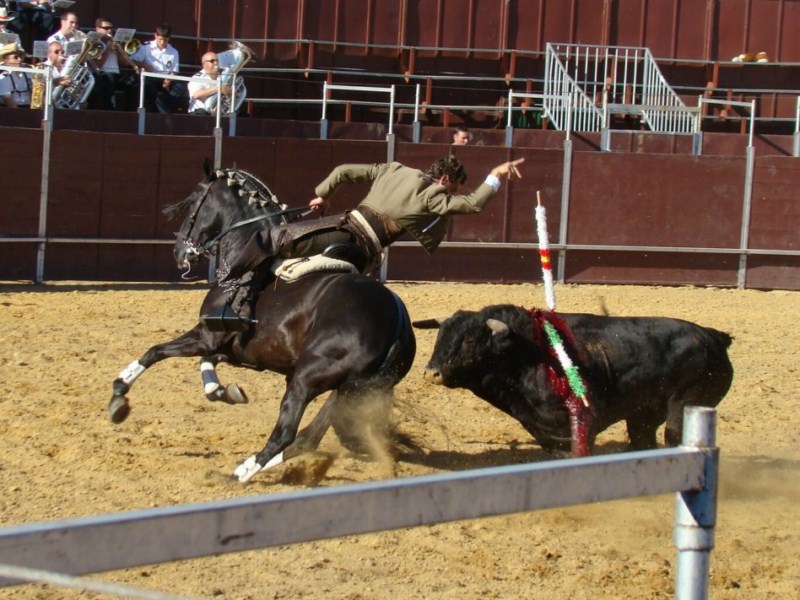 FIESTA DE PRIMAVERA 2010. ROMERIA, TOROS Y ZARZUELA