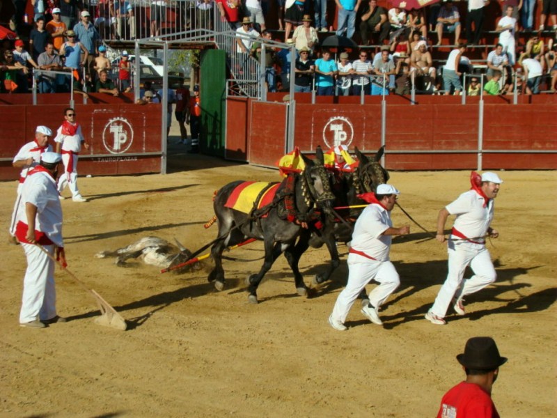 TOROS FERIA 2009