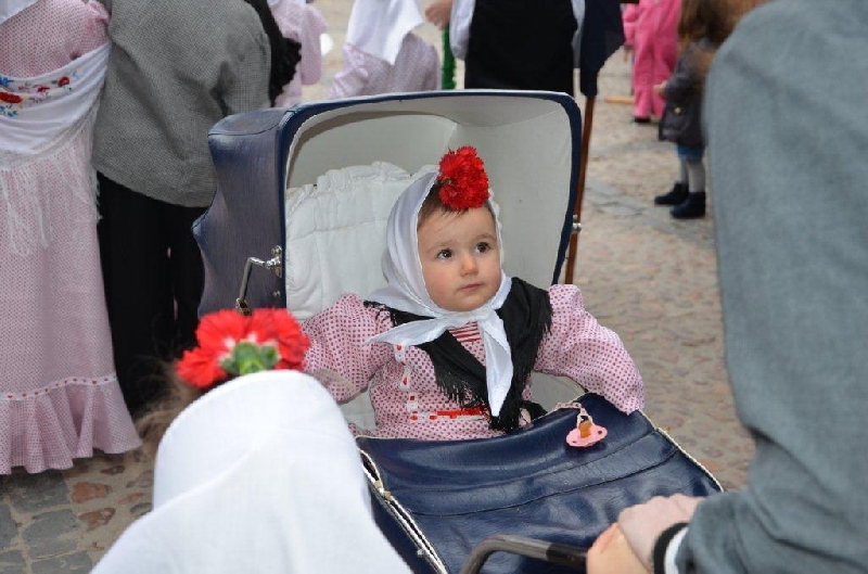 CARNAVAL INFANTIL 2014 (III)